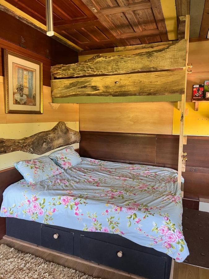 Foxglove Eco Lodge لينيلي المظهر الخارجي الصورة