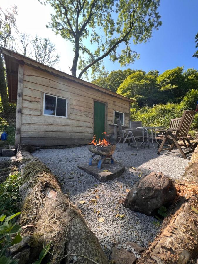 Foxglove Eco Lodge لينيلي المظهر الخارجي الصورة